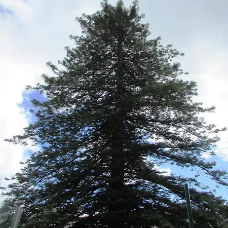 Casa Malva - Traditional Townhouse شقة *