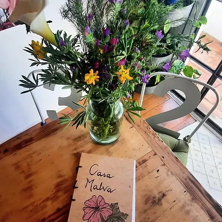 Casa Malva - Traditional Townhouse * Monchique